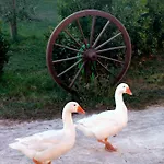 Lungo Albegna