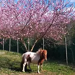 Lungo Albegna Διαμέρισμα Manciano