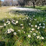 Διαμέρισμα Lungo Albegna
