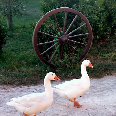 Lungo Albegna