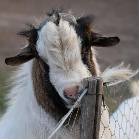 Apartamento Lungo Albegna