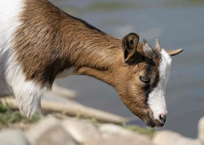 Lungo Albegna Apartamento Manciano