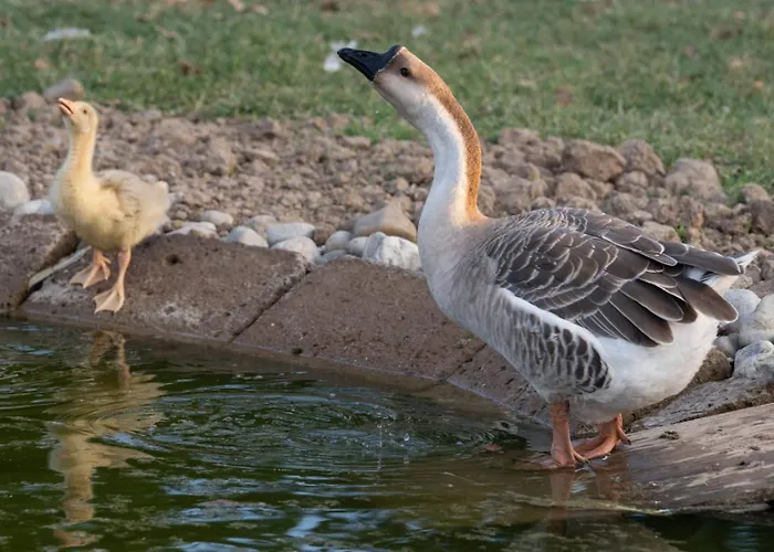 Lungo Albegna Apartamento