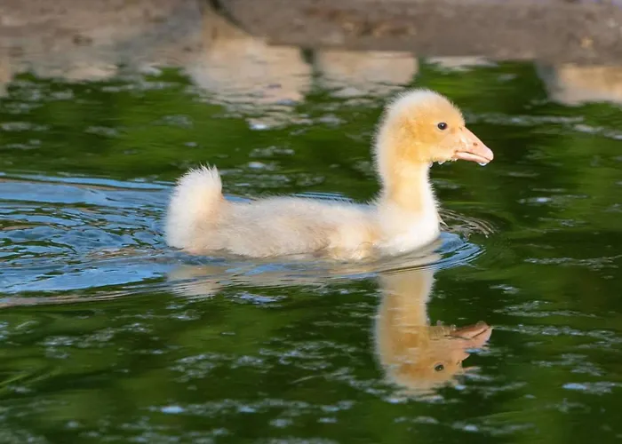 Apartamento Lungo Albegna *